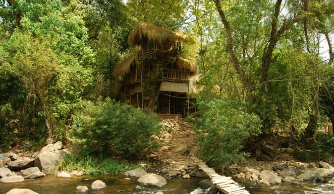 Kalindi Homestay, Wayanad 1